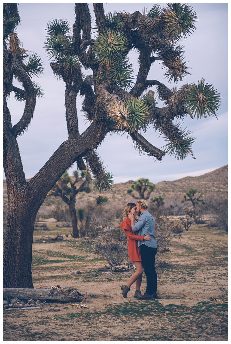 Joshua Tree Engagement Session, Los Angeles Wedding Photographer