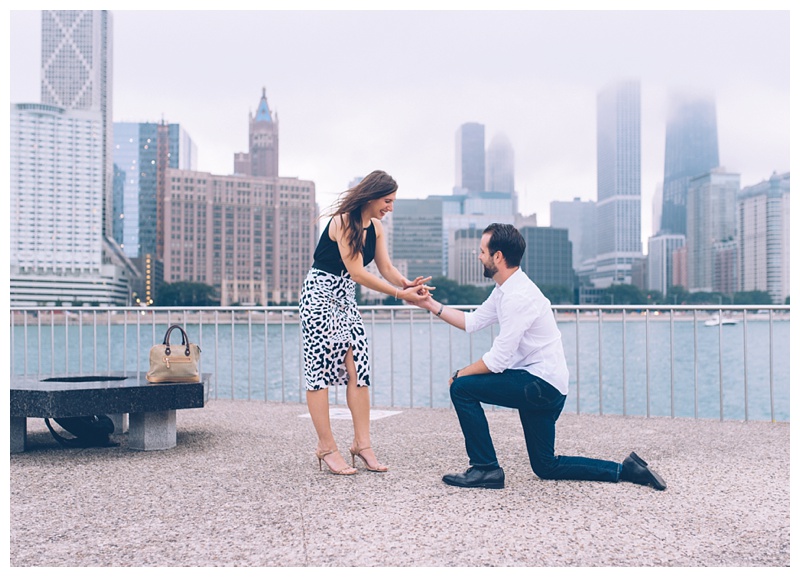 Chicago Surprise Proposal Photographer | Olive Park | Ed & Aileen